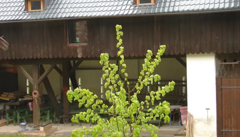 Skansen Gottwaldówka - odkryj historię i atrakcje Kątów Bystrzyckich