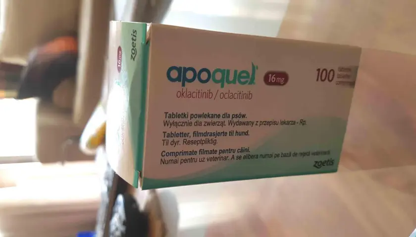 Opakowanie leku Apoquel 16 mg dla psów, zawierające 100 tabletek. Pomaga zwierzętom z problemami skórnymi.
