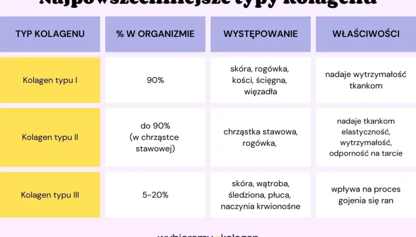 Tabela porównuje typy kolagenu: I (90%, skóra, kości, wytrzymałość), II (chrząstki, elastyczność) i III (narządy wewnętrzne, gojenie).