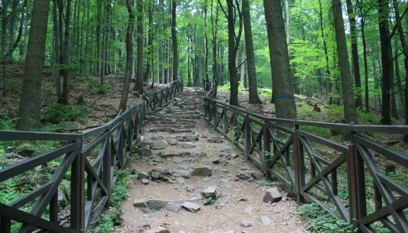 Kamienne schody wijące się przez las w Górach Świętokrzyskich, otoczone drewnianą balustradą.