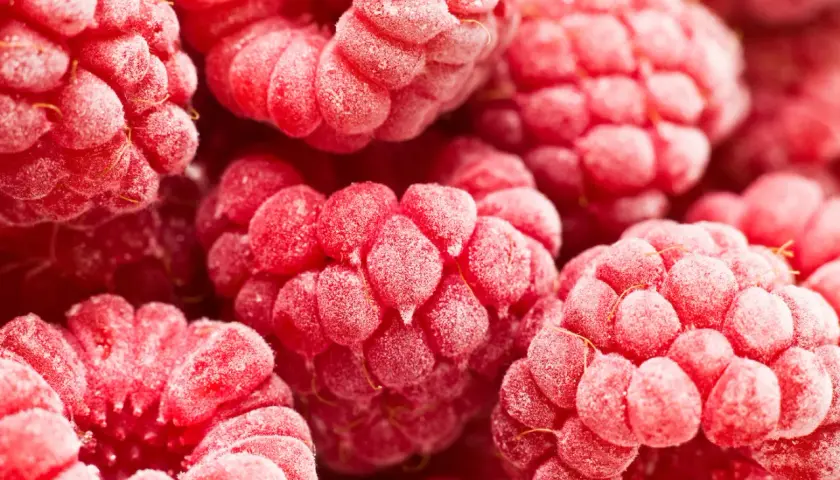 Nahaufnahme von gefrorenen Himbeeren. Schockfrosten Nachteile: Texturverlust, aber die Farbe bleibt leuchtend.
