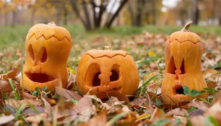 Halloween czy Haloween? Poznaj jedyną poprawną pisownię!