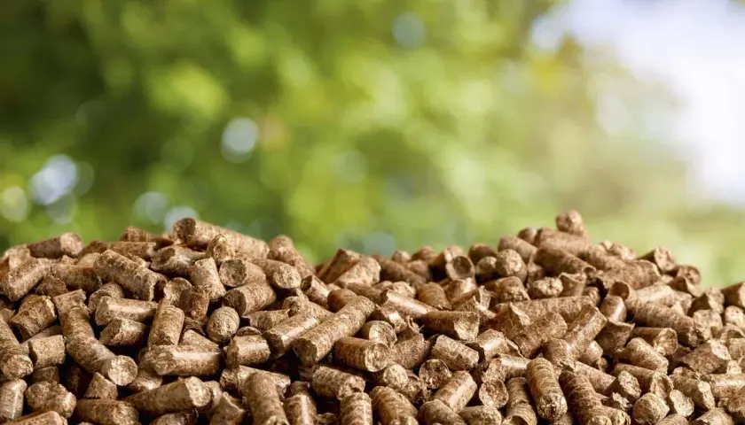 Góra pelletu drzewnego, idealna na zimę. Szukasz najtańszy pellet z dostawą? Oto rozwiązanie!