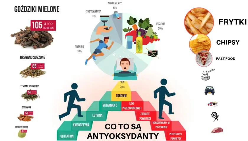 Co to są antyoksydanty? Grafika pokazuje źródła i czynniki wpływające na ich poziom: goździki, oregano, cynamon, sen, trening, jedzenie, suplementy.