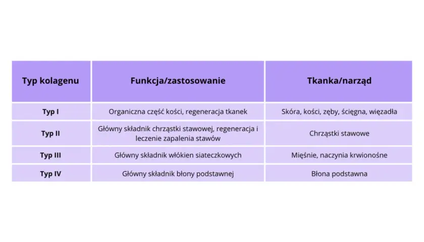Tabela przedstawia typy kolagenu, ich funkcje i tkanki. Kolagen typu 1 i 3 są kluczowe dla skóry, kości, ścięgien i mięśni.