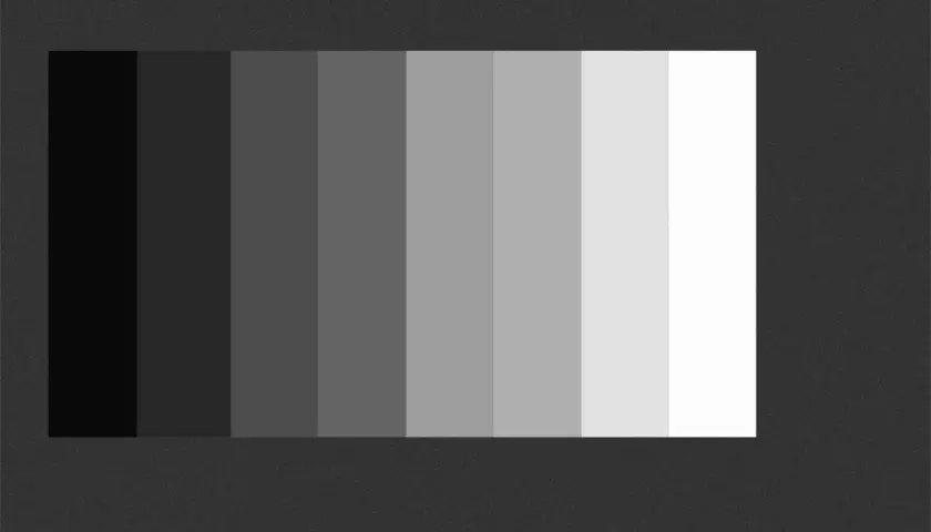 Una scala di grigi, una sfumatura bianco nero che va dal nero profondo al bianco puro, con gradazioni intermedie.