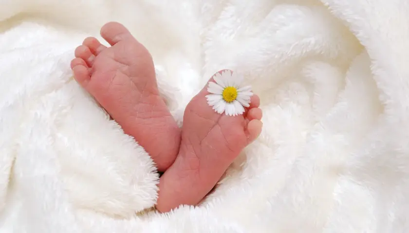 Piccoli piedini di neonato avvolti in una coperta soffice, con un fiorellino che ricorda il riflesso di Babinski.