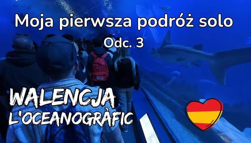 Największe oceanarium w Europie - co je wyróżnia i zaskakuje