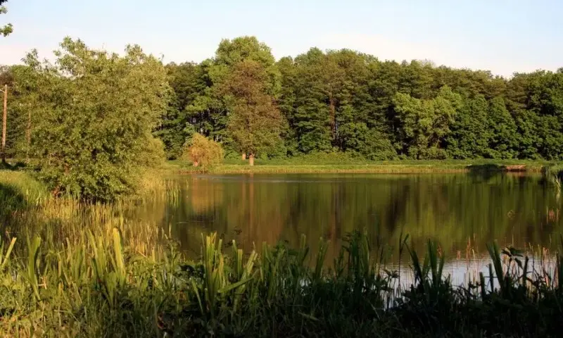 Łowisko Dawidy: Sprawdź, co musisz wiedzieć przed wędkowaniem
