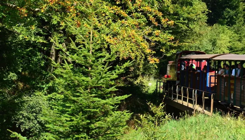 Bieszczady: Majdan Kolejka Leśna, szlaki i atrakcje. Co odkryjesz?