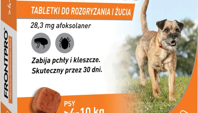Tabletki na kleszcze dla psa: Które wybrać? Bezpieczny przewodnik