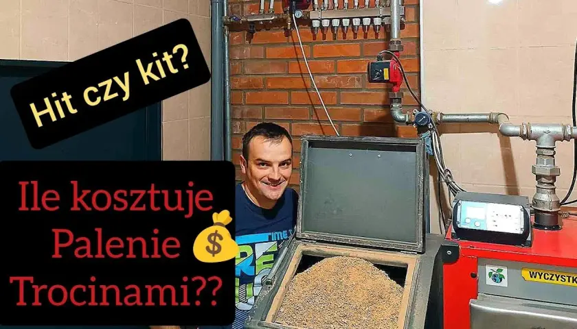 Czy warto mieszać ekogroszek z trocinami? Odkryj zalety i ryzyka