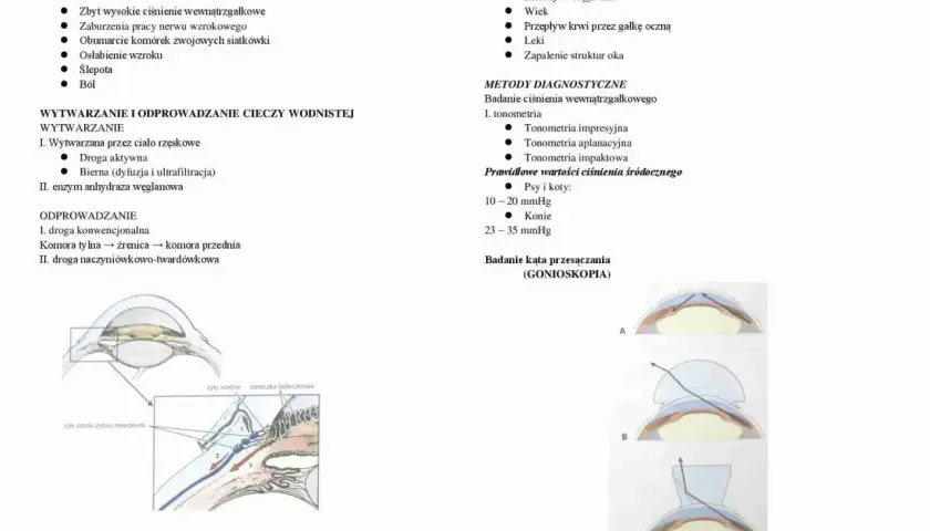 Badanie kąta przesączania oka, czyli gonioskopia, jest kluczowe w diagnostyce jaskry.
