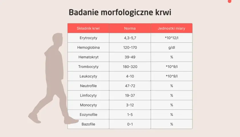 Tabela z badaniem morfologicznym krwi, pokazująca normy dla erytrocytów, hemoglobiny, hematokrytu, trombocytów, leukocytów i innych. PDW co to? To wskaźnik płytek krwi.