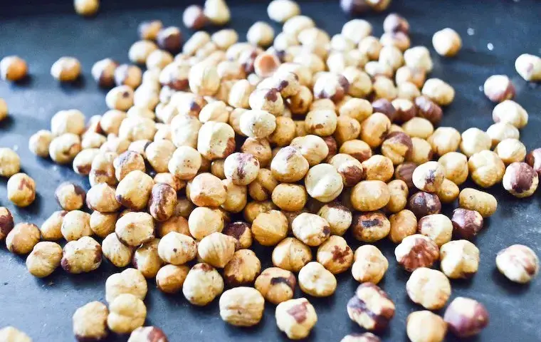 Les secrets des noisettes grillées : recettes et astuces incontournables