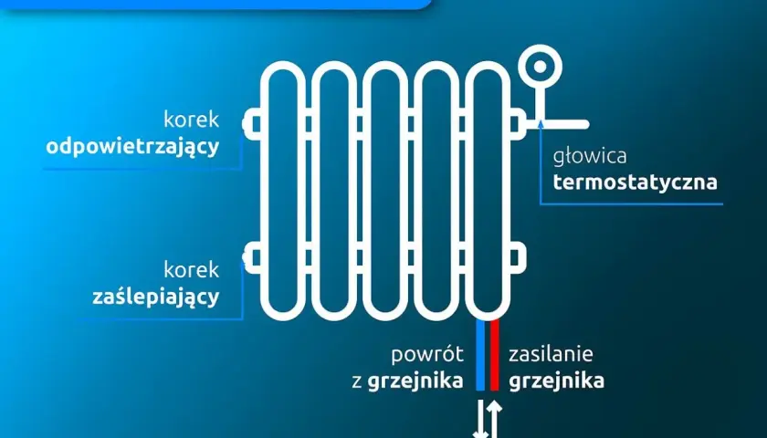 Schemat grzejnika z podłączeniem dolnym. Pokazuje odpowietrzacz, korek, głowicę termostatyczną, powrót i zasilanie. Czy grzejnik powinien być w poziomie? Tak, tak jest pokazany.
