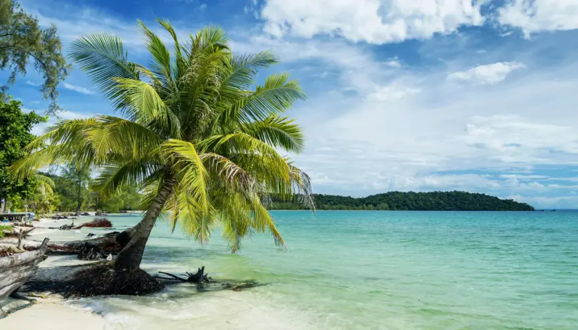 Traumhafter kambodscha strand mit Palmen, türkisfarbenem Wasser und bewaldeter Insel.
