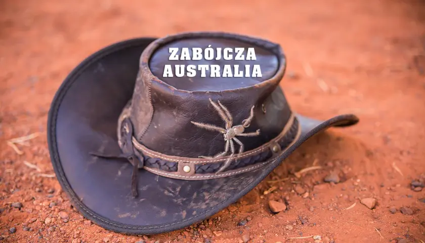 Czy w Australii jest bezpiecznie? Odkryj zagrożenia i bezpieczeństwo