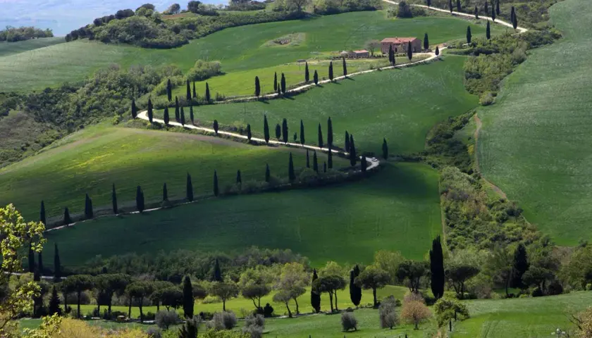 Sanfte Hügel im Val d'Orcia, gesäumt von Zypressen, führen zu einem Bauernhaus. Eine Straße schlängelt sich durch die grüne Landschaft.