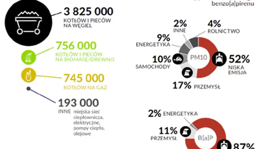 Infografika przedstawia źródła emisji smogu w Polsce: kotły na węgiel, biomasę, gaz oraz inne źródła.