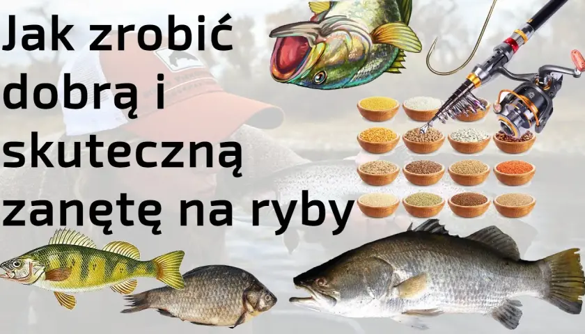 Jak zwabić ryby na łowisko? Skuteczne zanęty i techniki