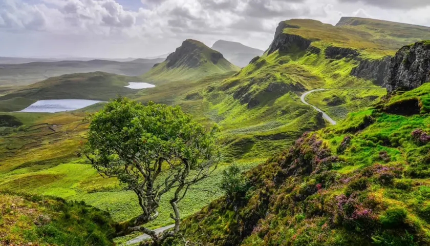 Winding road through lush green hills, a solitary tree, and distant lochs showcase the beauty of hiking trails in Scotland.