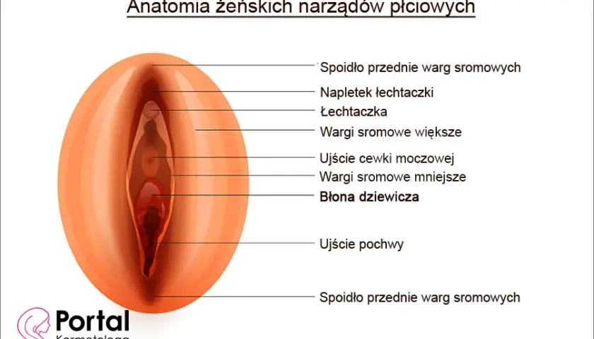 Jak poznać, że kobieta jest dziewicą - prawda o virginity i znakach