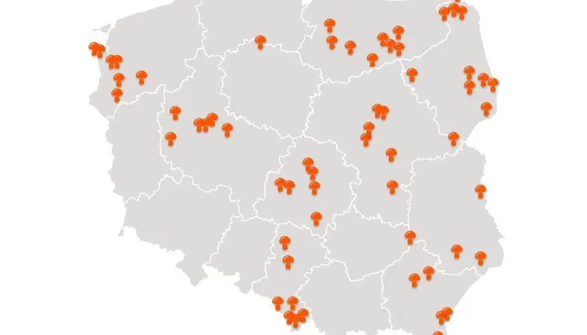 Mapa Polski z zaznaczonymi miejscami, gdzie są grzyby. Pomarańczowe pinezki w kształcie grzybów wskazują popularne lokalizacje dla grzybiarzy.