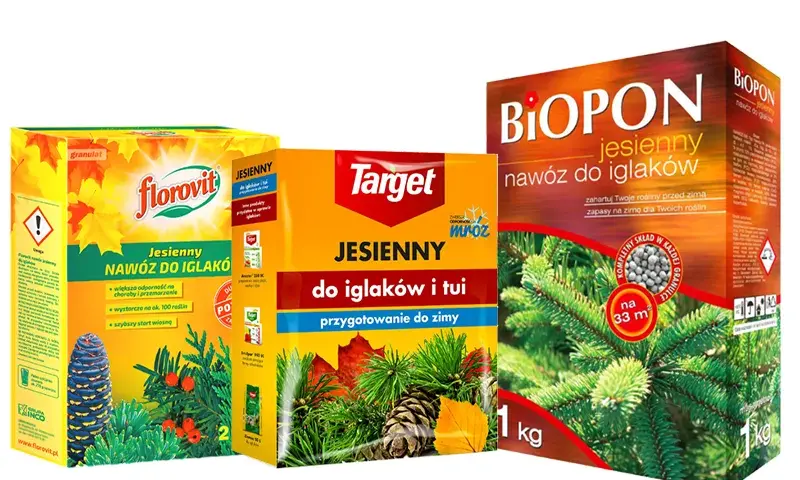 Jaki nawóz na zimę? Najlepsze wybory dla Twoich roślin