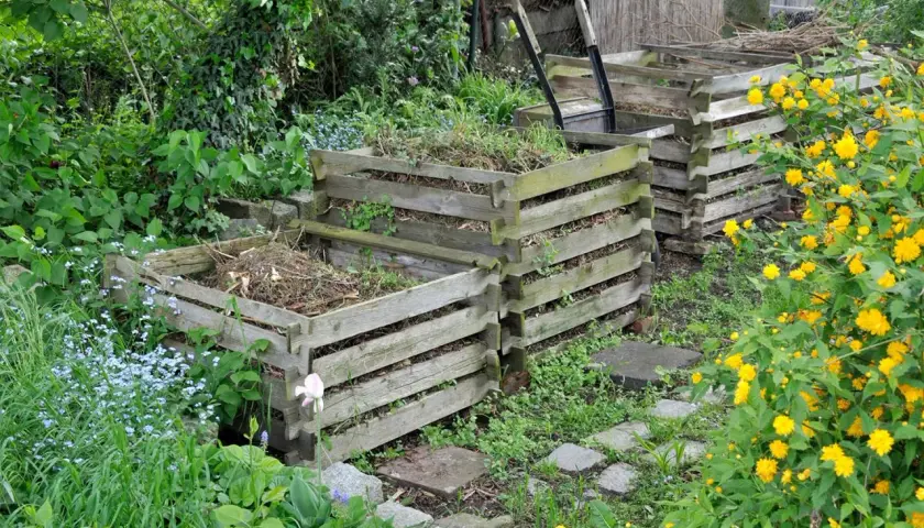 Mehrere Holzkomposter im Garten, bereit, um einen Komposthaufen anzulegen. Umgeben von grünen Pflanzen und gelben Blüten.