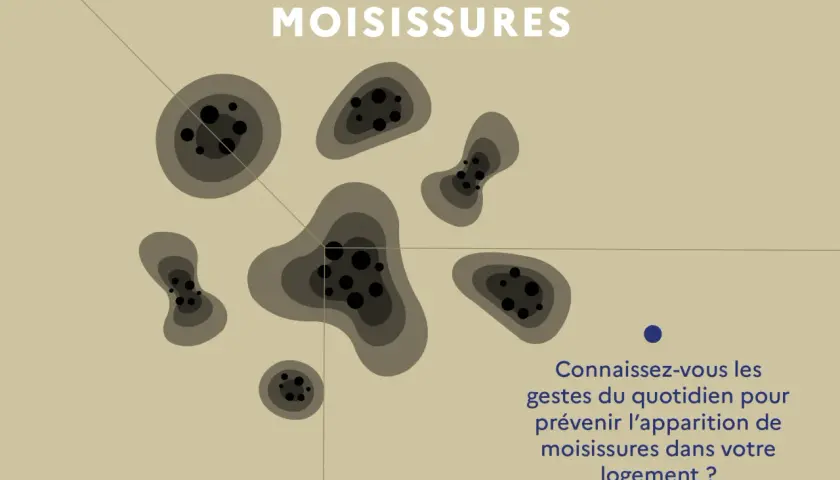 Des taches sombres et circulaires, symbolisant le problème d'humidité dans une maison, sont représentées. Le texte invite à découvrir comment prévenir les moisissures.