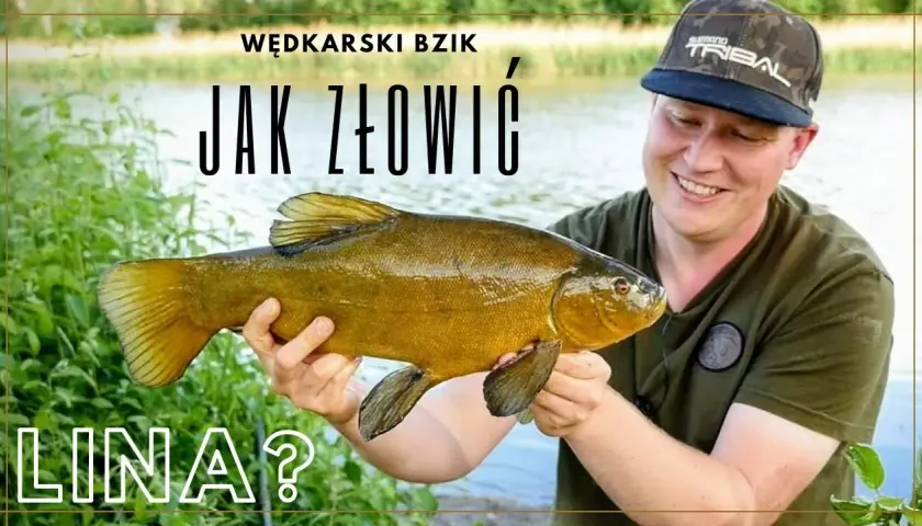 Jak łowić lina na spławik? Sprawdzone metody i porady