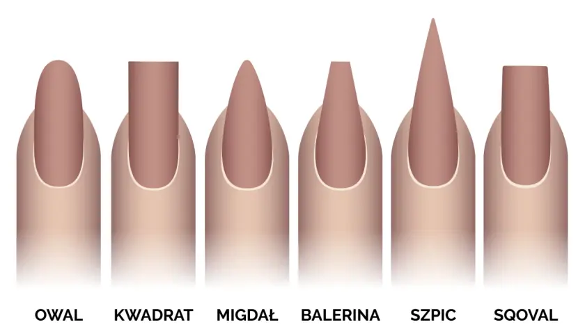 Ilustracja przedstawia sześć różnych kształtów paznokci żelowych: owal, kwadrat, migdał, balerina, szpic i sqoval.