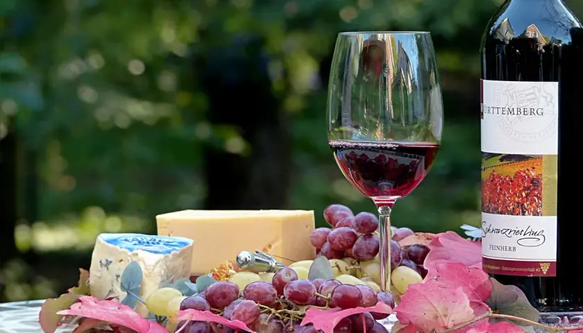 Verre de vin rouge, fromage bleu et jaune, raisins et feuilles d'automne. Une belle invitation à découvrir quel vin rouge avec fromage.