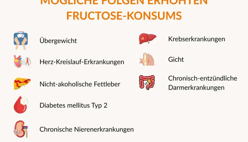 Mögliche Folgen von erhöhtem Fructose-Konsum: Übergewicht, Herz-Kreislauf-Erkrankungen, nicht-alkoholische Fettleber, Diabetes Typ 2, Nierenerkrankungen, Krebs, Gicht, Darmerkrankungen.