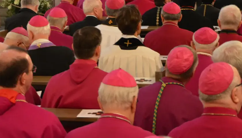 Bischöfe und Kardinäle in roten und weißen Gewändern, einige mit pinken Kopfbedeckungen. Der Unterschied zwischen Bischof und Kardinal ist in der Hierarchie erkennbar.
