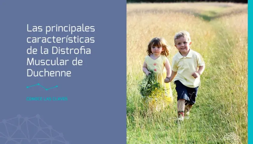 Todo lo que necesitas saber sobre la distrofia muscular de duchenne