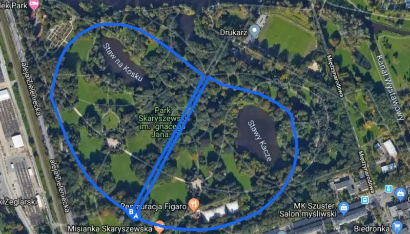 Park Skaryszewski w Warszawie to idealne miejsce, gdzie biegać można wokół stawów i zielonych alejek.