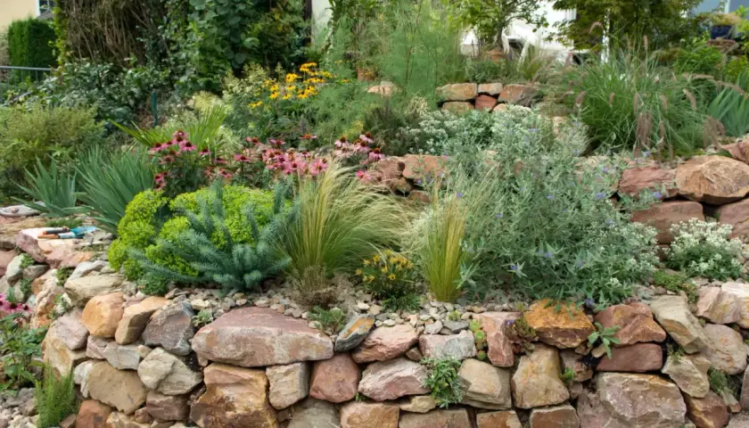 Ein Steingarten mit vielen Pflanzen und Blumen, der zeigt, wie man mit 1001 Ideen Garten gestalten mit wenig Geld kann.