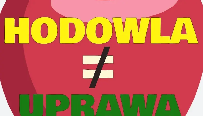 Hodowla czy uprawa roślin - poznaj kluczowe różnice i wybór