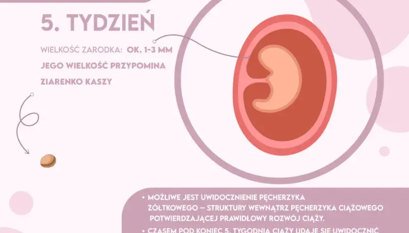 Skok rozwojowy 5 tydzień objawy - co zmienia się u niemowlaka?