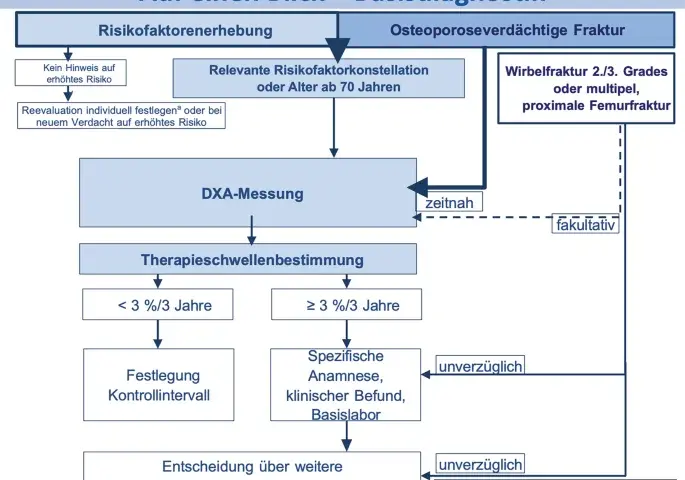 Die entscheidenden Schritte zur Osteoporose Diagnostik verstehen