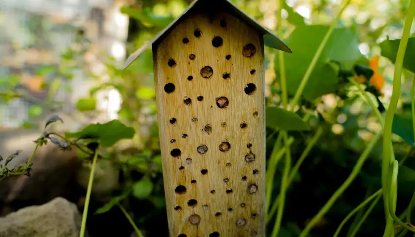 Ein Bienenhotel selber bauen ist eine tolle Idee! Dieses hölzerne Insektenhotel mit seinem spitzen Dach bietet vielen nützlichen Insekten ein Zuhause.