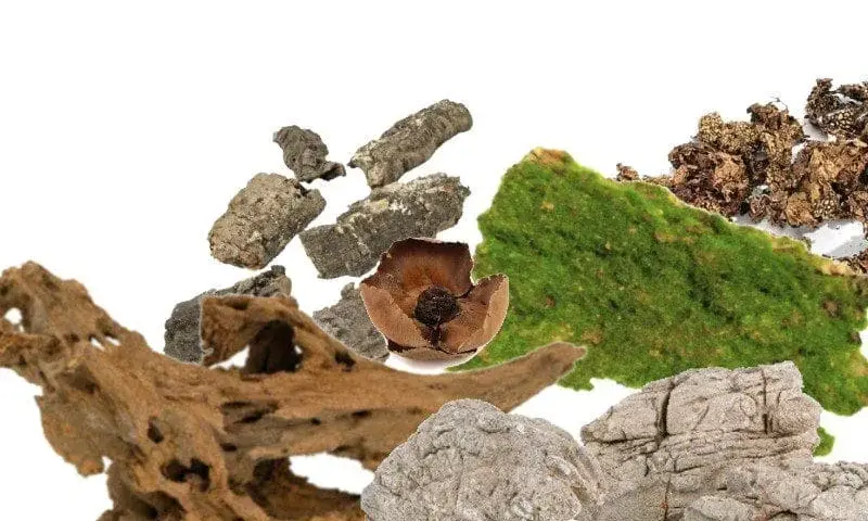 Wystrój terrarium: dekoracje i ozdoby do terrarium