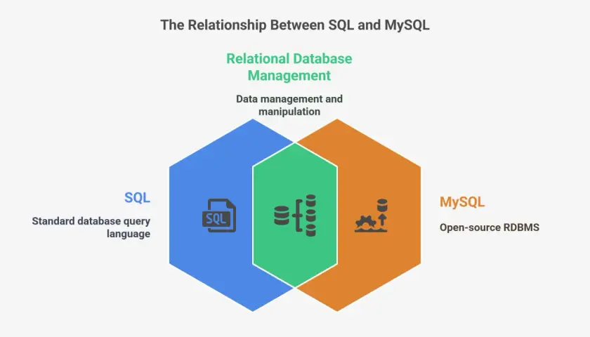 Schéma illustrant la relation entre SQL (langage de requête) et MySQL (SGBDR open-source), soulignant leur rôle dans la gestion des bases de données relationnelles.