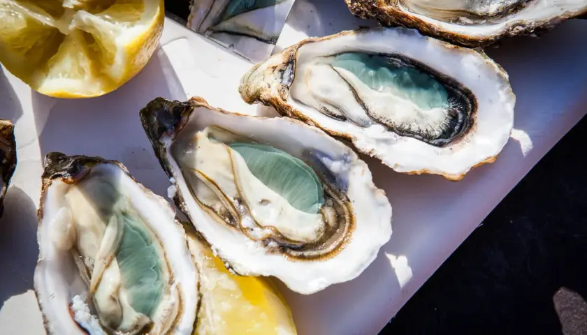 Trois huîtres vertes fraîchement ouvertes, prêtes à être dégustées avec des quartiers de citron.