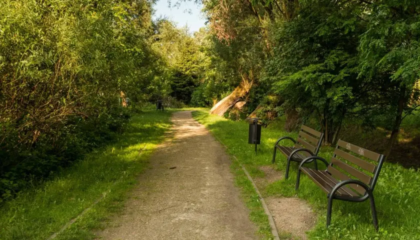 Ścieżka w parku, ławki i kosz na śmieci przy Młynówce Królewskiej.