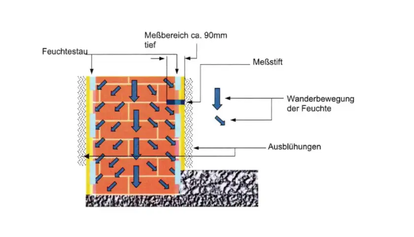 Darstellung von Feuchtetransport in einer Wand, was die hygroskopisch definition verdeutlicht. Pfeile zeigen die Wanderbewegung der Feuchte und Ausblühungen.
