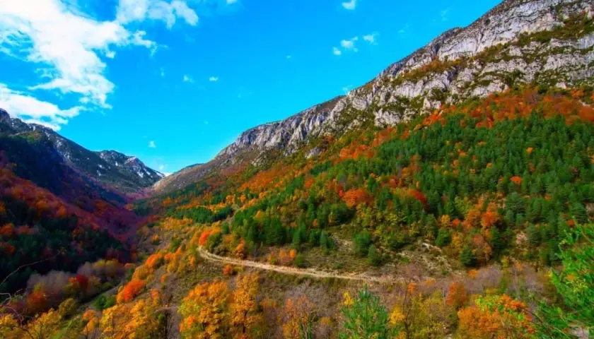 Un camino serpentea por un valle montañoso en otoño, con árboles de colores vibrantes que cubren las laderas. El cielo azul intenso y las nubes blancas completan la escena del **Cadí Moixero**.