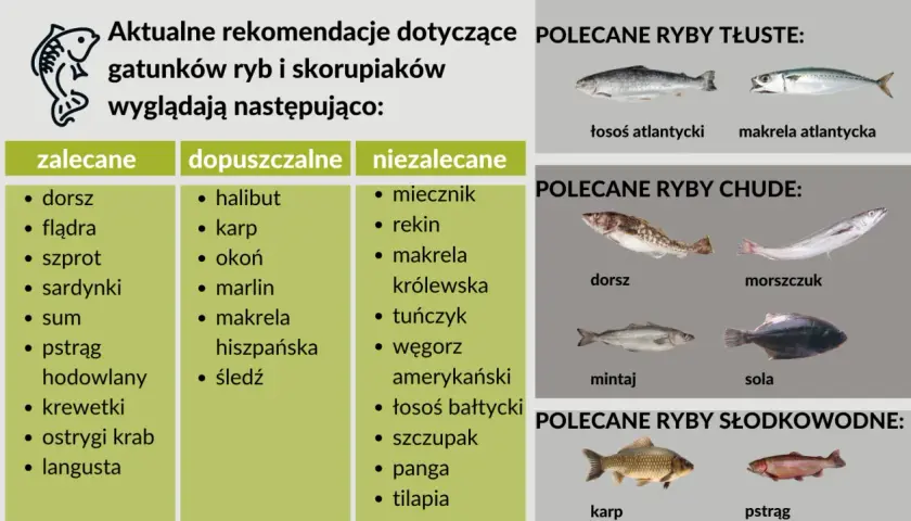 Jaka ryba dla niemowlaka? Zalecane ryby to dorsz, flądra, szprot, sardynki. Tłuste ryby to łosoś, makrela. Chude to dorsz, morszczuk, mintaj, sola.